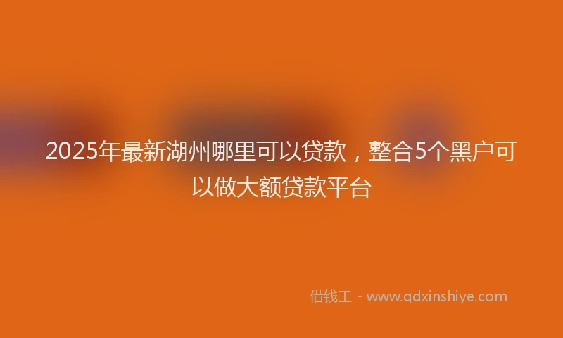 2025年最新湖州哪里可以贷款，整合5个黑户可以做大额贷款平台