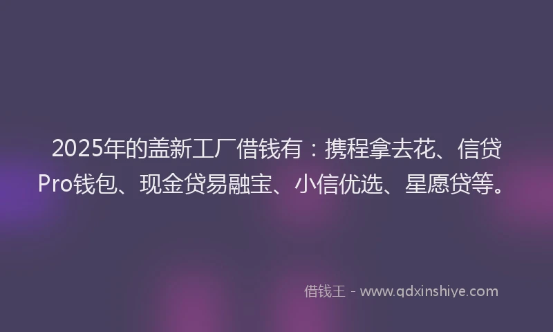 2025年的盖新工厂借钱有：携程拿去花、信贷Pro钱包、现金贷易融宝、小信优选、星愿贷等。
