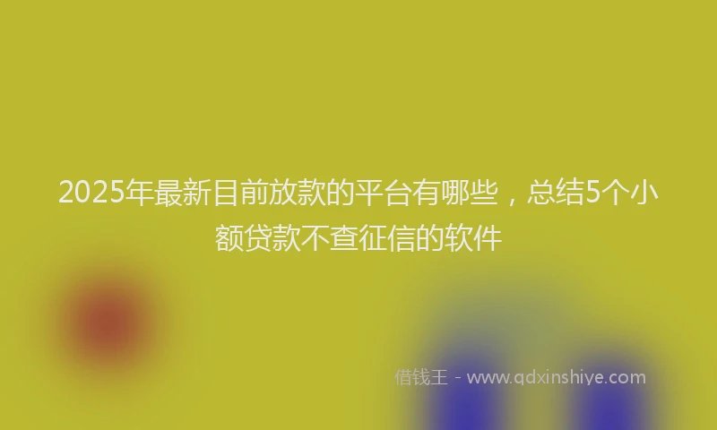 2025年最新目前放款的平台有哪些，总结5个小额贷款不查征信的软件