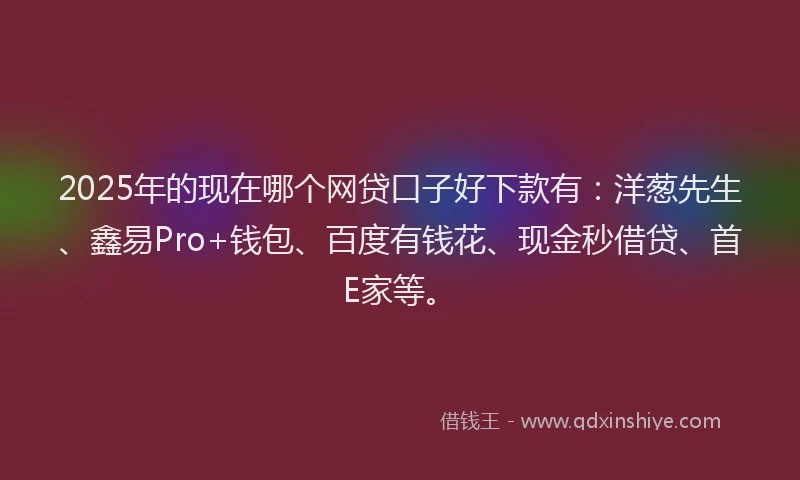 2025年的现在哪个网贷口子好下款有：洋葱先生、鑫易Pro+钱包、百度有钱花、现金秒借贷、首E家等。