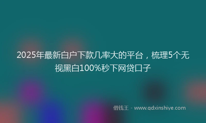 2025年最新白户下款几率大的平台，梳理5个无视黑白100%秒下网贷口子
