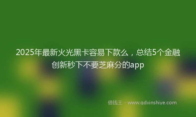 2025年最新火光黑卡容易下款么，总结5个金融创新秒下不要芝麻分的app