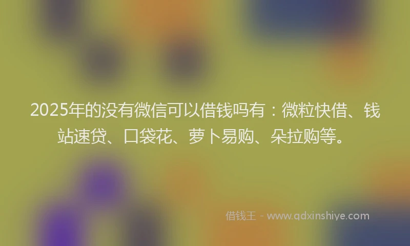 2025年的没有微信可以借钱吗有：微粒快借、钱站速贷、口袋花、萝卜易购、朵拉购等。