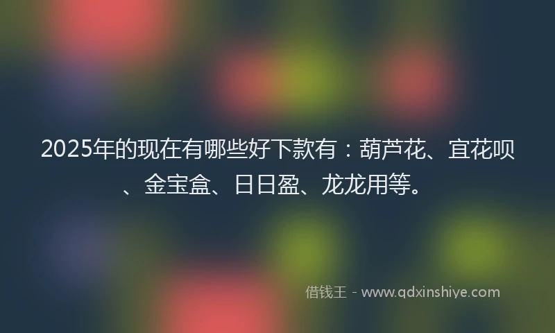 2025年的现在有哪些好下款有：葫芦花、宜花呗、金宝盒、日日盈、龙龙用等。