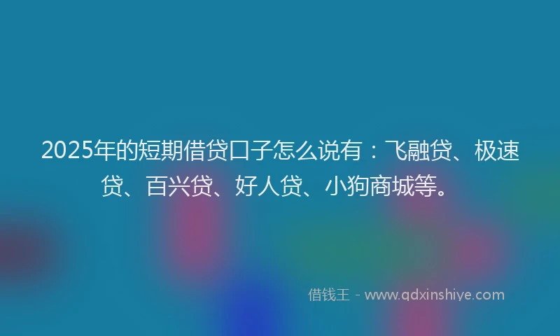 2025年的短期借贷口子怎么说有：飞融贷、极速贷、百兴贷、好人贷、小狗商城等。