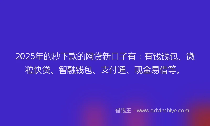 2025年的秒下款的网贷新口子有：有钱钱包、微粒快贷、智融钱包、支付通、现金易借等。