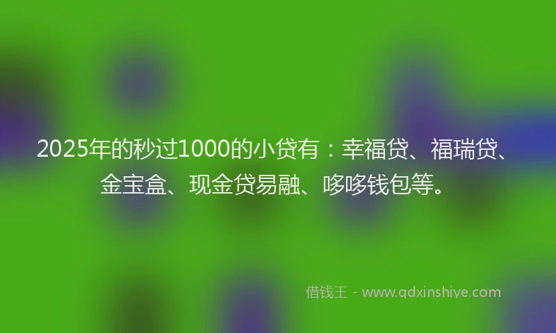 2025年的秒过1000的小贷有：幸福贷、福瑞贷、金宝盒、现金贷易融、哆哆钱包等。