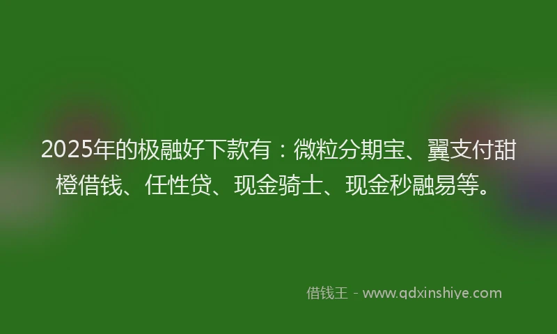 2025年的极融好下款有：微粒分期宝、翼支付甜橙借钱、任性贷、现金骑士、现金秒融易等。