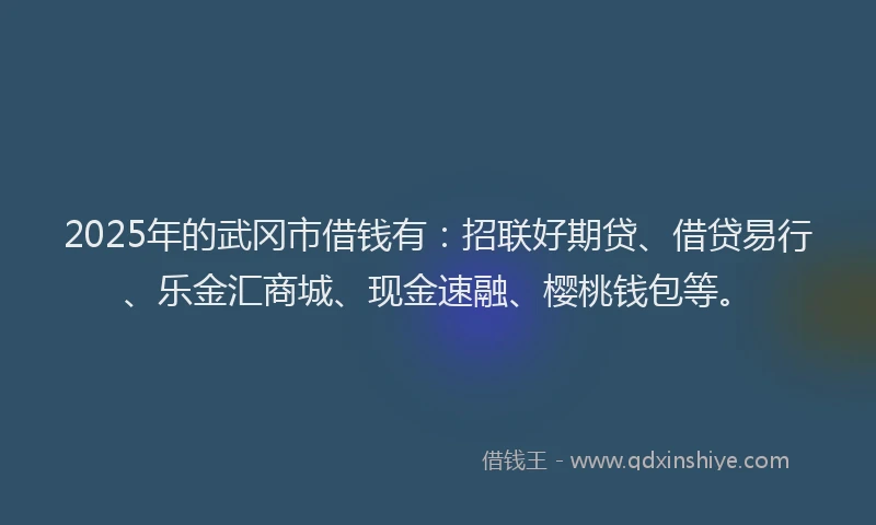 2025年的武冈市借钱有：招联好期贷、借贷易行、乐金汇商城、现金速融、樱桃钱包等。