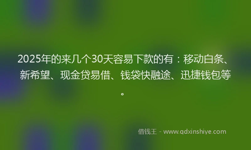 2025年的来几个30天容易下款的有：移动白条、新希望、现金贷易借、钱袋快融途、迅捷钱包等。