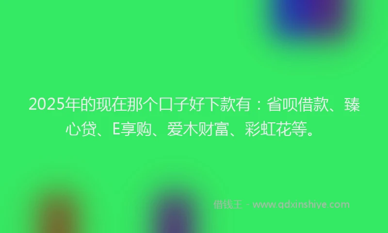 2025年的现在那个口子好下款有：省呗借款、臻心贷、E享购、爱木财富、彩虹花等。