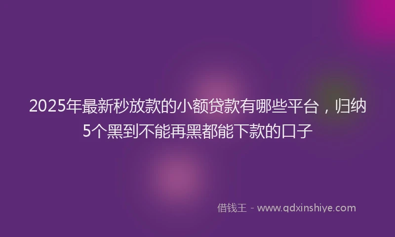 2025年最新秒放款的小额贷款有哪些平台，归纳5个黑到不能再黑都能下款的口子