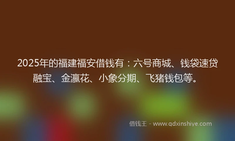 2025年的福建福安借钱有：六号商城、钱袋速贷融宝、金瀛花、小象分期、飞猪钱包等。