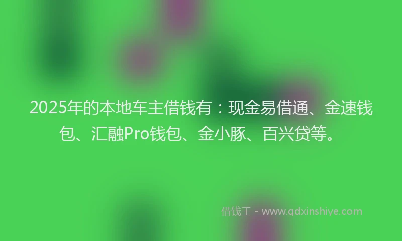 2025年的本地车主借钱有：现金易借通、金速钱包、汇融Pro钱包、金小豚、百兴贷等。