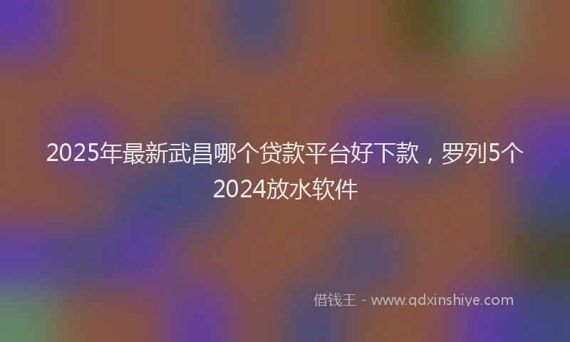2025年最新武昌哪个贷款平台好下款，罗列5个2024放水软件