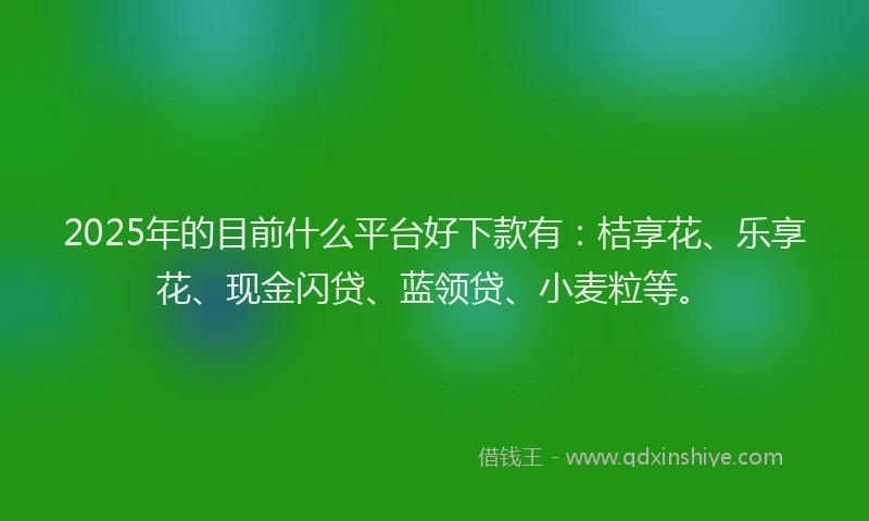 2025年的目前什么平台好下款有：桔享花、乐享花、现金闪贷、蓝领贷、小麦粒等。