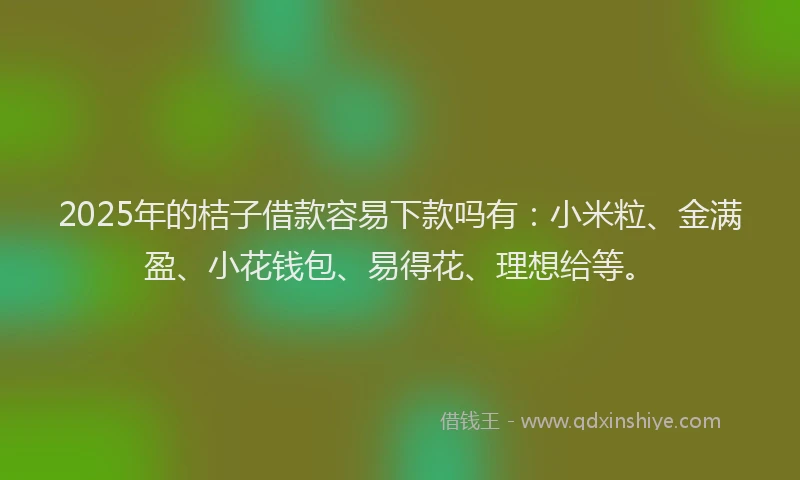 2025年的桔子借款容易下款吗有：小米粒、金满盈、小花钱包、易得花、理想给等。
