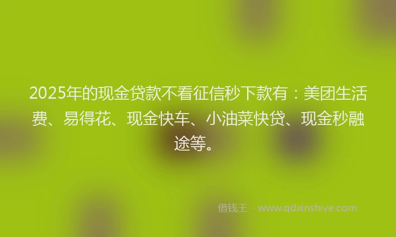 2025年的现金贷款不看征信秒下款有：美团生活费、易得花、现金快车、小油菜快贷、现金秒融途等。
