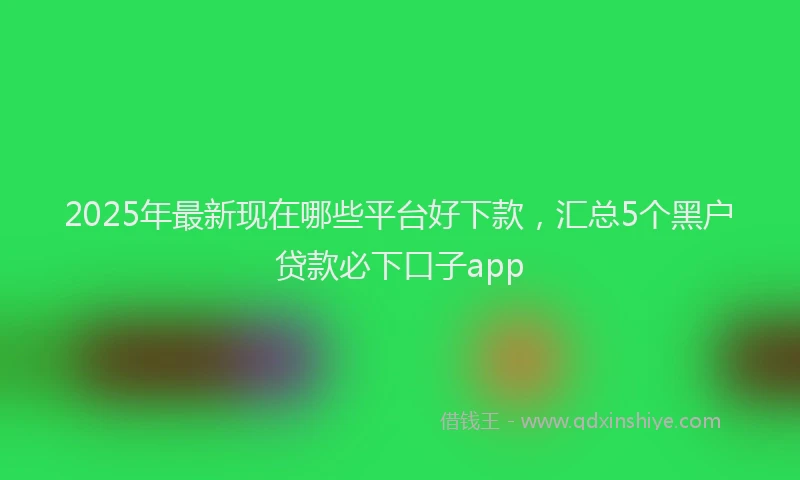 2025年最新现在哪些平台好下款，汇总5个黑户贷款必下口子app