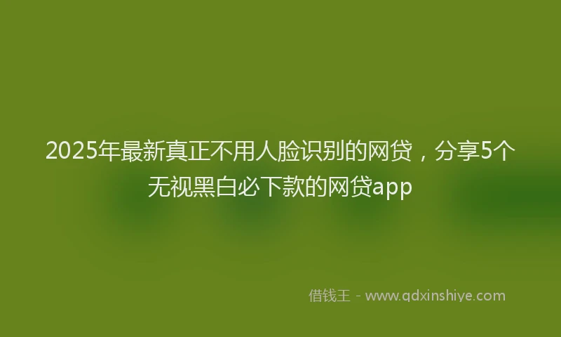 2025年最新真正不用人脸识别的网贷，分享5个无视黑白必下款的网贷app