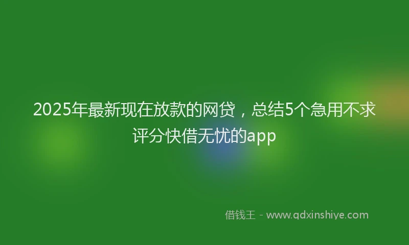 2025年最新现在放款的网贷，总结5个急用不求评分快借无忧的app
