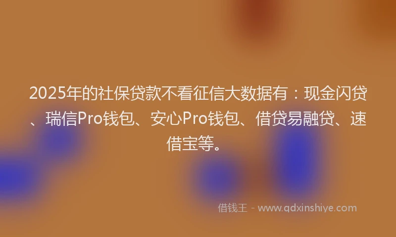 2025年的社保贷款不看征信大数据有：现金闪贷、瑞信Pro钱包、安心Pro钱包、借贷易融贷、速借宝等。