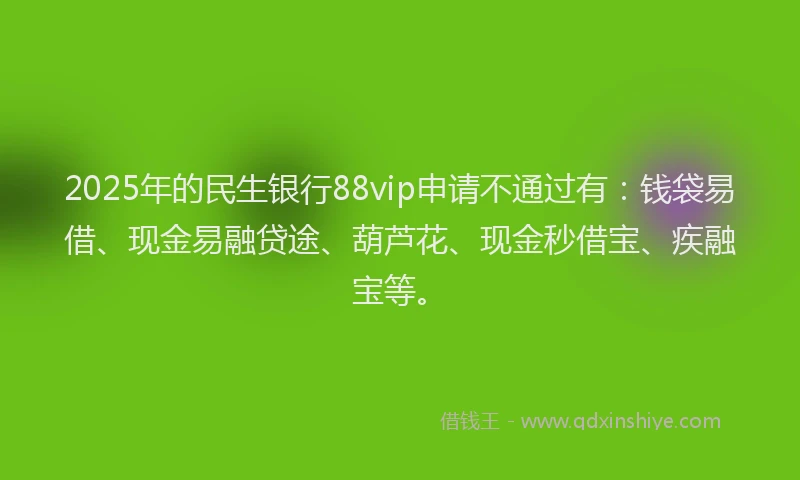 2025年的民生银行88vip申请不通过有：钱袋易借、现金易融贷途、葫芦花、现金秒借宝、疾融宝等。