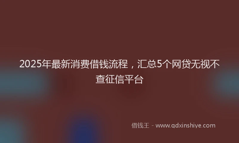 2025年最新消费借钱流程，汇总5个网贷无视不查征信平台