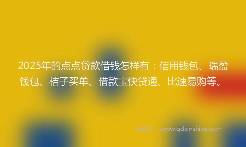 2025年的点点贷款借钱怎样有：信用钱包、瑞盈钱包、桔子买单、借款宝快贷通、比速易购等。