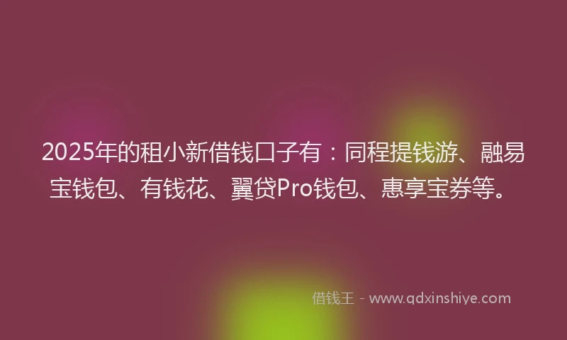 2025年的租小新借钱口子有：同程提钱游、融易宝钱包、有钱花、翼贷Pro钱包、惠享宝券等。