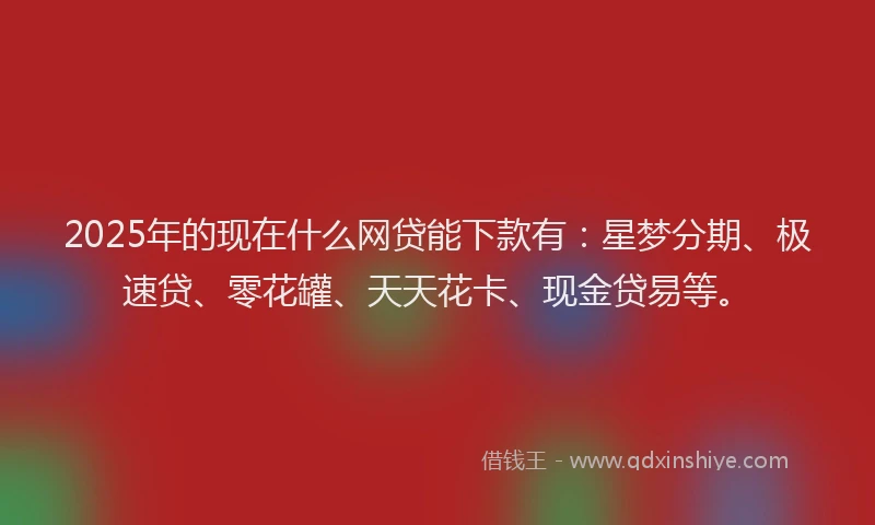2025年的现在什么网贷能下款有：星梦分期、极速贷、零花罐、天天花卡、现金贷易等。