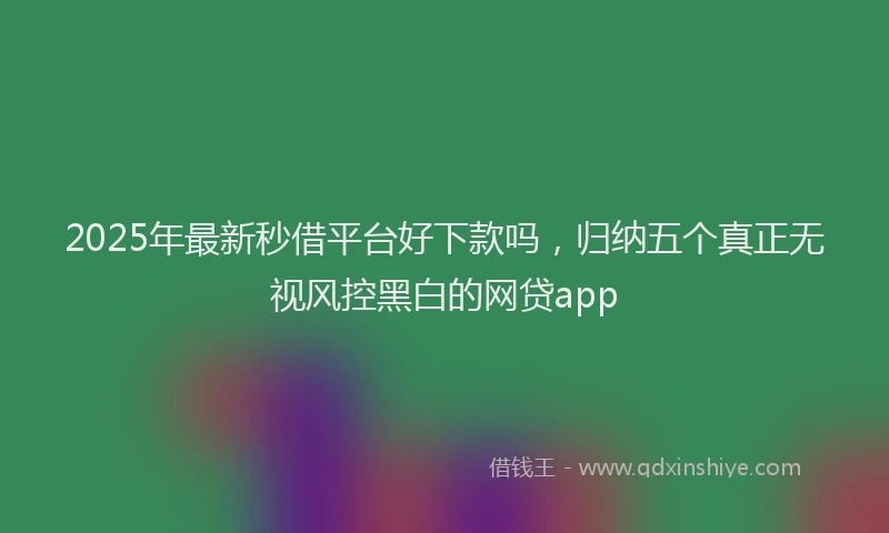2025年最新秒借平台好下款吗，归纳五个真正无视风控黑白的网贷app