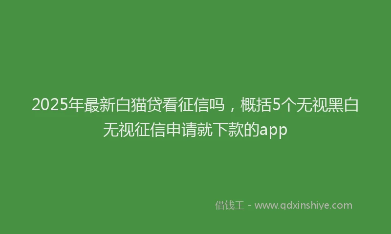 2025年最新白猫贷看征信吗，概括5个无视黑白无视征信申请就下款的app