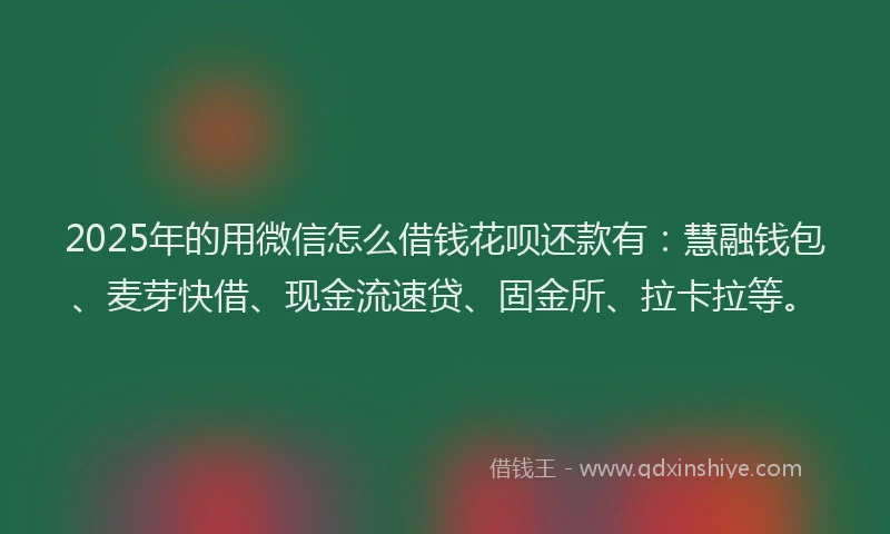 2025年的用微信怎么借钱花呗还款有：慧融钱包、麦芽快借、现金流速贷、固金所、拉卡拉等。