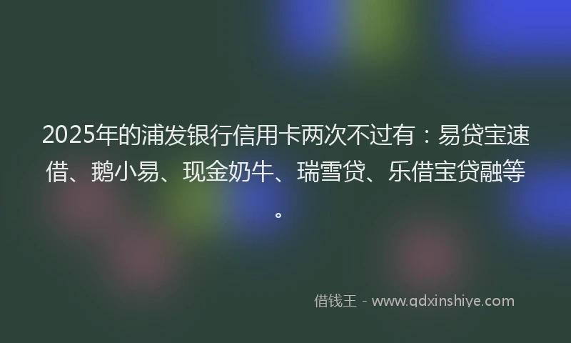 2025年的浦发银行信用卡两次不过有：易贷宝速借、鹅小易、现金奶牛、瑞雪贷、乐借宝贷融等。