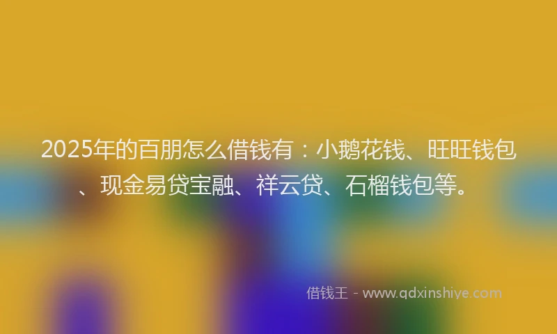 2025年的百朋怎么借钱有：小鹅花钱、旺旺钱包、现金易贷宝融、祥云贷、石榴钱包等。
