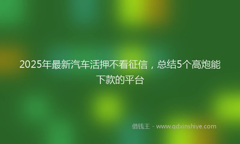 2025年最新汽车活押不看征信，总结5个高炮能下款的平台