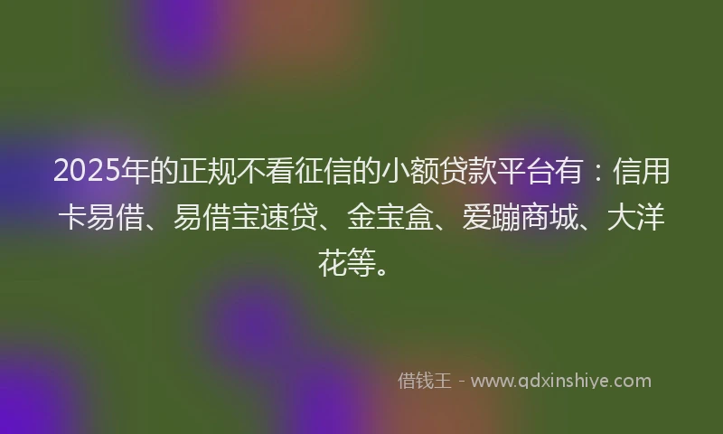 2025年的正规不看征信的小额贷款平台有：信用卡易借、易借宝速贷、金宝盒、爱蹦商城、大洋花等。