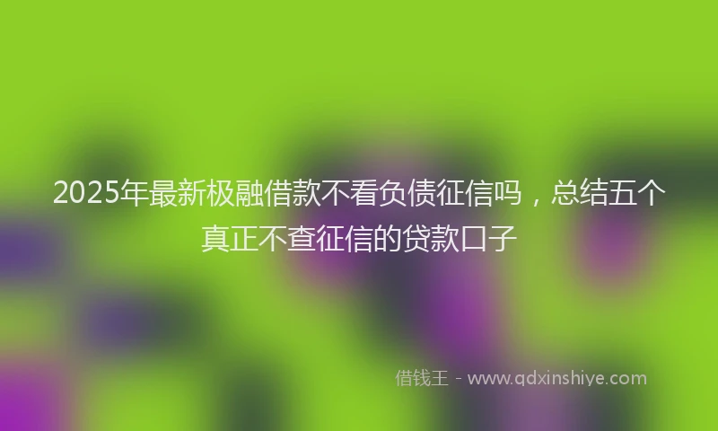 2025年最新极融借款不看负债征信吗，总结五个真正不查征信的贷款口子