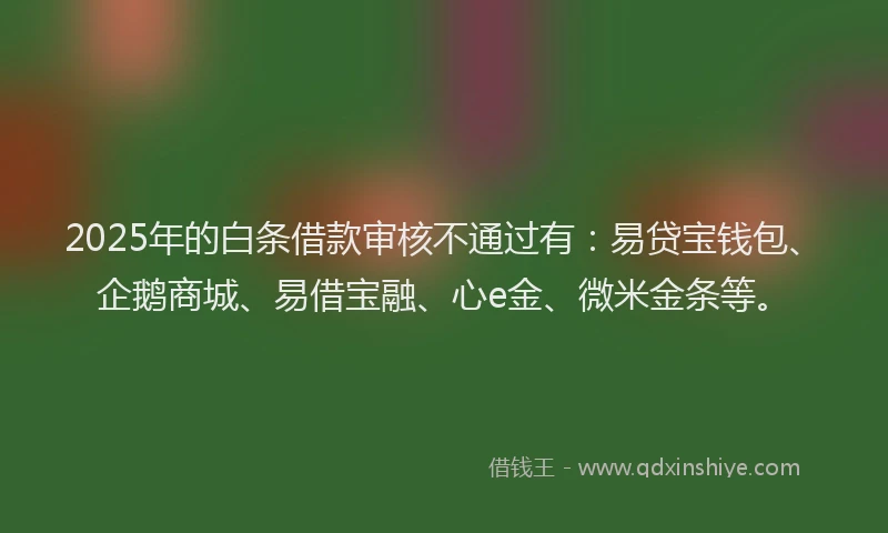 2025年的白条借款审核不通过有：易贷宝钱包、企鹅商城、易借宝融、心e金、微米金条等。