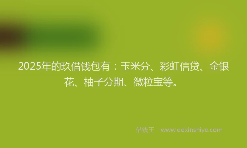 2025年的玖借钱包有：玉米分、彩虹信贷、金银花、柚子分期、微粒宝等。