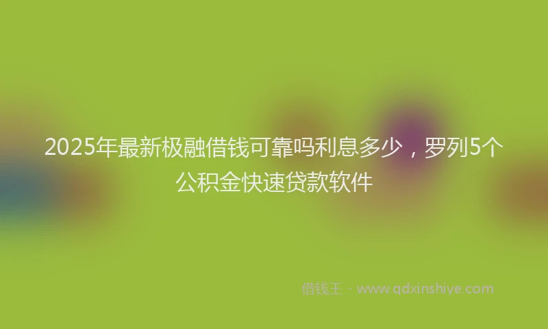 2025年最新极融借钱可靠吗利息多少，罗列5个公积金快速贷款软件