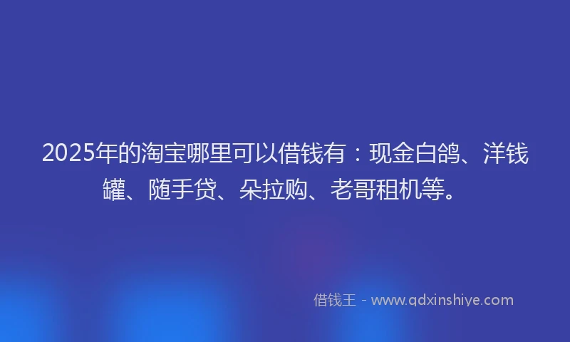 2025年的淘宝哪里可以借钱有：现金白鸽、洋钱罐、随手贷、朵拉购、老哥租机等。