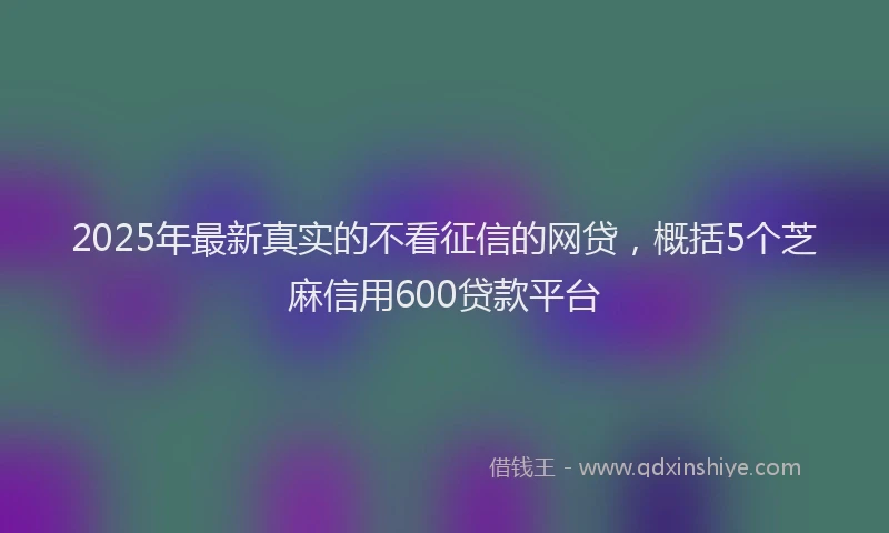 2025年最新真实的不看征信的网贷，概括5个芝麻信用600贷款平台