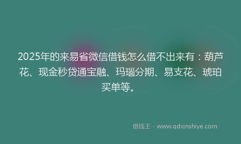 2025年的来易省微信借钱怎么借不出来有：葫芦花、现金秒贷通宝融、玛瑙分期、易支花、琥珀买单等。