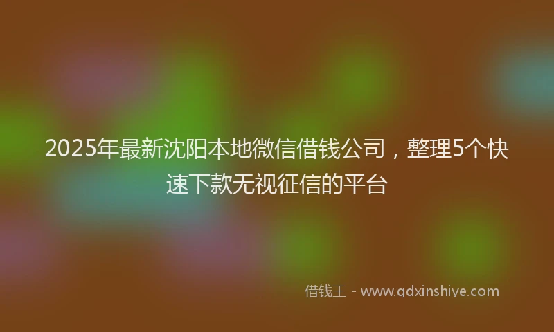 2025年最新沈阳本地微信借钱公司，整理5个快速下款无视征信的平台