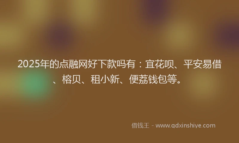 2025年的点融网好下款吗有：宜花呗、平安易借、榕贝、租小新、便荔钱包等。