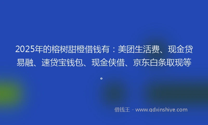 2025年的榕树甜橙借钱有：美团生活费、现金贷易融、速贷宝钱包、现金侠借、京东白条取现等。