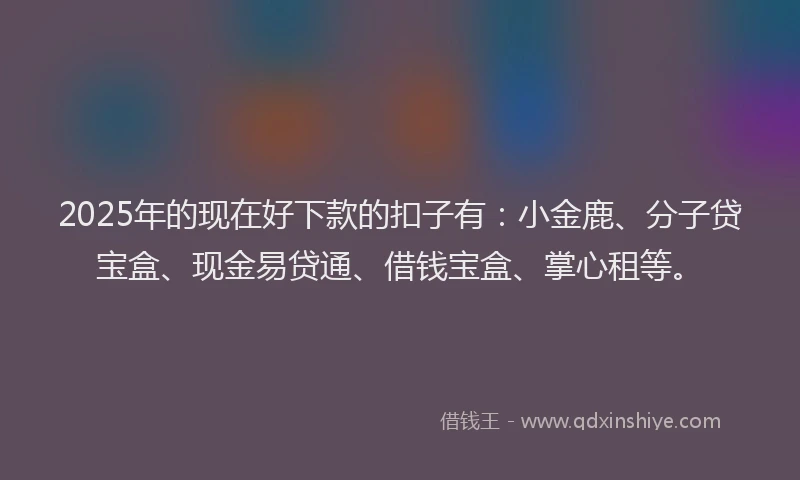 2025年的现在好下款的扣子有：小金鹿、分子贷宝盒、现金易贷通、借钱宝盒、掌心租等。