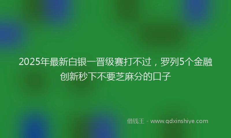 2025年最新白银一晋级赛打不过，罗列5个金融创新秒下不要芝麻分的口子